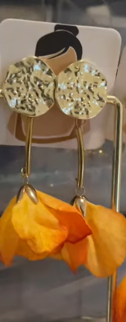 Pendientes largos