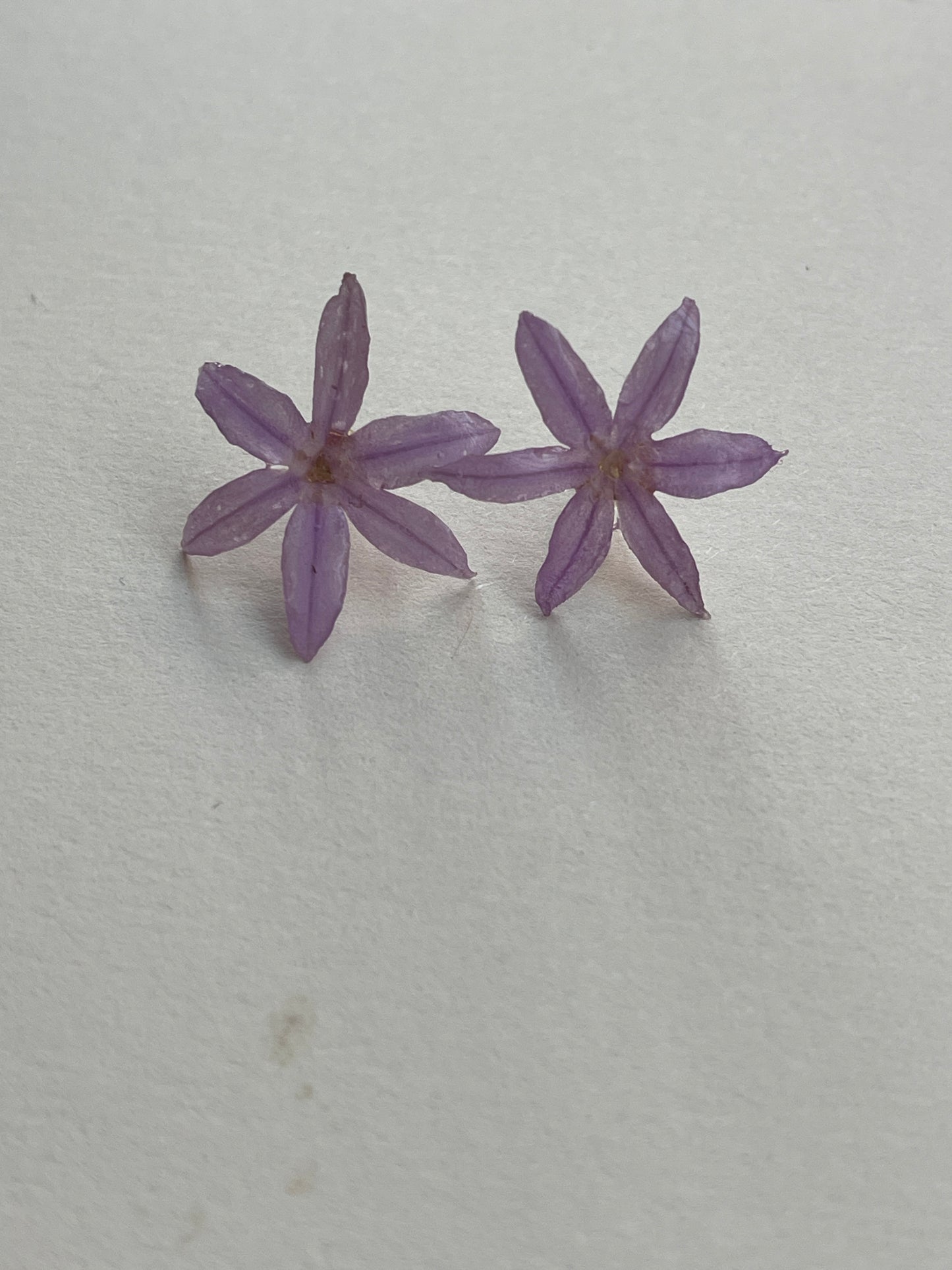Pendientes Tulbagia