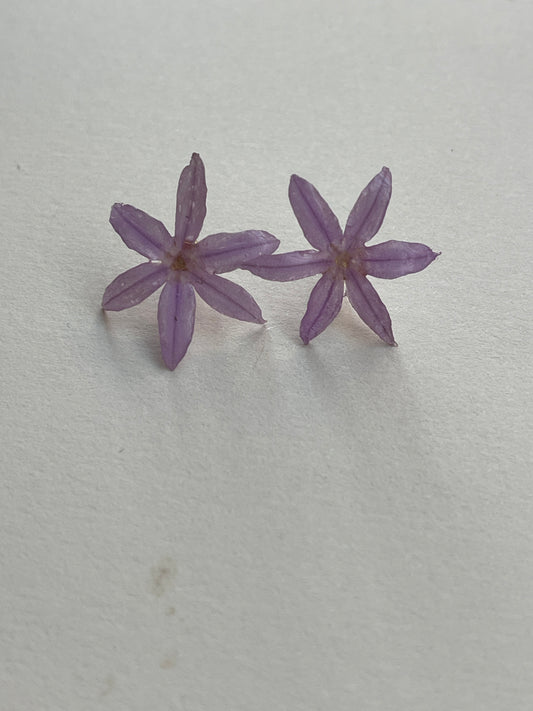 Pendientes Tulbagia